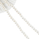 Shell normal de perles blanches de brins SHEL-WH0001-009A-2