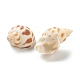 Perles de coquillage en spirale naturelle BSHE-H015-05-2