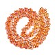 Chapelets de perles en verre électroplaqué&nbsp;EGLA-T028-02G-2