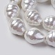 Shell Pearl Beads Strands BSHE-O018-03-2