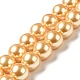 Glass Pearl Beads Strands HYC005-4