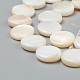 Perles de coquillages naturels d'eau douce BSHE-I011-01C-02-3
