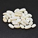 Natural Freshwater Shell Oval Beads X-SHEL-O001-21-1