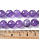 Natürlichen Amethyst Perlen Stränge&nbsp;G-R446-10mm-21-A-10
