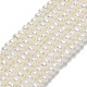Natural Cultured Freshwater Pearl Beads Strands PEAR-A005-20-01-1