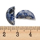 Cabochons d'ailes de papillon en jaspe à taches bleues naturelles G-D078-02C-3