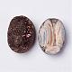 Electroplated Natural Druzy Agate Cabochons G-F389-H05-1