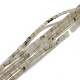 Natural Labradorite Beads Strands G-B004-A14-1