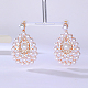 Imitation Pearl Teardrop Dangle Stud Earrings DM1543-1