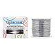 BENECREAT 22 Gauge 850FT Aluminum Wire Anodized Jewelry Craft Making Beading Floral Colored Aluminum Craft Wire - Silver AW-BC0003-17P-8