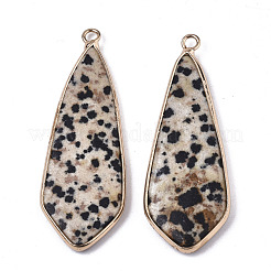 Dalmate jaspe naturels pendentifs&nbsp;G-S359-108C