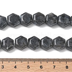 Natürliche Larvikit-Perlenstränge&nbsp;G-G463-A05-10x11mm