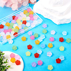 100pcs 10 Farben transparente Acrylperlen&nbsp;TACR-TA0001-44