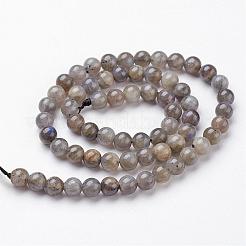 Chapelets de perles en labradorite naturelle&nbsp;G-J352-01-10mm