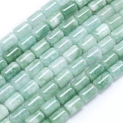 Natürliche Malaysia Jade Perlen Stränge&nbsp;G-B165-E12-8x12mm