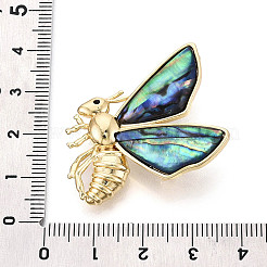 Paua-Muschel-Anstecknadeln&nbsp;JEWB-T005-10G