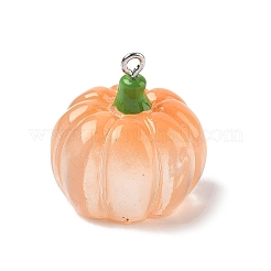 Halloween-Anhänger aus transparentem Harz&nbsp;CRES-B024-01P-04