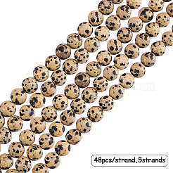Dalmatiner Jaspis Natursteinperle Stränge&nbsp;G-OC0001-54