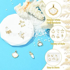 6 Stück 6 Stile Ozean Themen Messing Pflaster natürliche weiße Muschel Anhänger&nbsp;KK-CJ0003-66