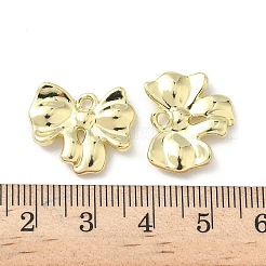 Aluminium Anhänger & Charms&nbsp;FIND-Z089-11G