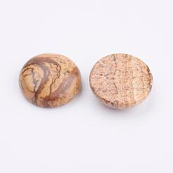 Cabochon di diaspro dell'immagine naturale&nbsp;G-K217-03A