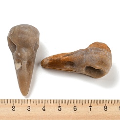 Natürliche fossile Korallenanhänger&nbsp;G-M417-06C