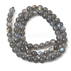 Perline labradorite naturale fili&nbsp;GG-CBA28C5-A01-6mm