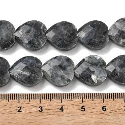 Natürliche Larvikit-Perlenstränge&nbsp;G-A309-A18-01