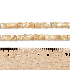 Natürliche Trochidschale / Trochusschalenperlenstränge&nbsp;BSHE-H018-01