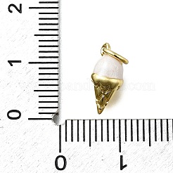 Messing Emaille Anhänger / charms&nbsp;KK-K400-26G-02