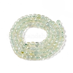 Perline Prehnite naturale fili&nbsp;G-N342-125