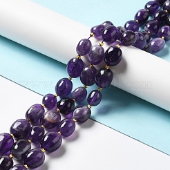 Natürlichen Amethyst Perlen Stränge&nbsp;G-B028-B10