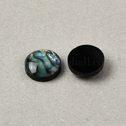 Cabujones de concha de abulón/concha de paua natural con esmalte&nbsp;BSHE-WH0006-06B