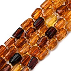 Farbverlauf Naturbernstein Perlenstränge&nbsp;G-F803-D01-04