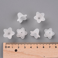 Perles en acrylique transparente&nbsp;PLF018-01