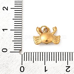 Strassanhänger aus Edelstahl 304&nbsp;STAS-B097-06G-09