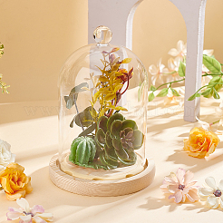 Couvercle de dôme en verre&nbsp;AJEW-WH0348-293E