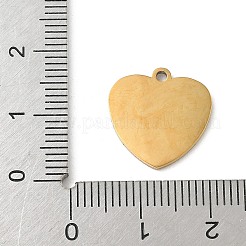 Pendentifs en acier inoxydable 304 émaillés&nbsp;STAS-I351-21G-03