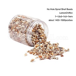 Kein Loch Spirale Muschelperlen&nbsp;SSHEL-YW0001-01
