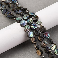 Natur Paua Muschel Perlen Stränge&nbsp;BSHE-ZX006-09B