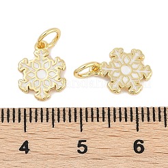 Messing Emaille Anhänger / charms&nbsp;KK-Q028-04G