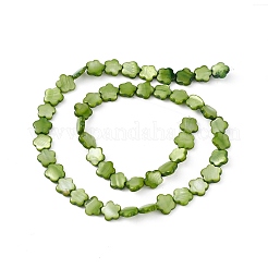 Natürliche&nbsp;SHEL-K001-001G