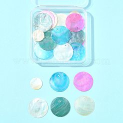 20 Stück 5 Stile natürliche Capiz Muschel Anhänger&nbsp;SSHEL-FS0001-07