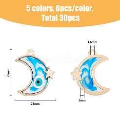 30pcs 5 pendentifs en alliage de couleurs&nbsp;ENAM-HY0001-05