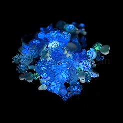 Cabochons décodés en résine lumineuse&nbsp;RESI-K036-05D