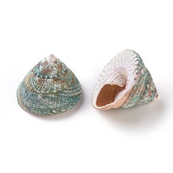 Perle di guscio&nbsp;BSHE-WH0001-02