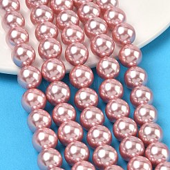Perles de perles de coquille galvanoplastie&nbsp;BSHE-G041-10mm-05