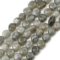Chapelets de perles en labradorite naturelle &nbsp;G-P623-A03-02