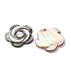 Rose schwarz Lippe Shell Cabochons&nbsp;SSHEL-E553-09