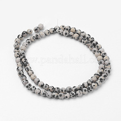 Natur Dalmatiner Jaspis Perle Stränge&nbsp;G-G735-68F-4mm